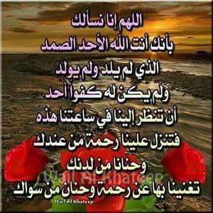 Meet your Posher, Youef